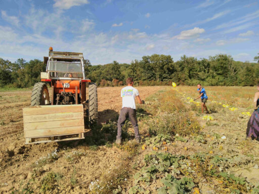 Nouvelles de la ferme