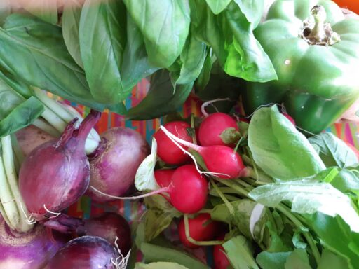 Panier du 2 septembre