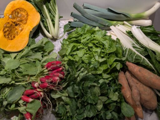 Panier du 26 mars 2026