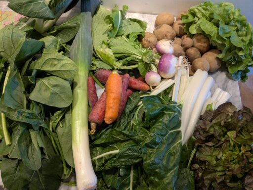 Panier du 9 avril 2026